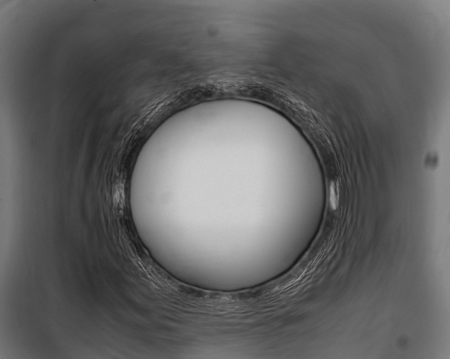 X0000100851155200806200755