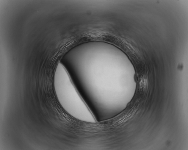X0000100851156200806200755