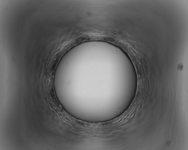 X0000100851157200806200755