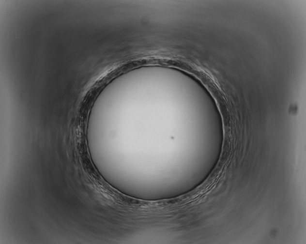 X0000100851159200806200755