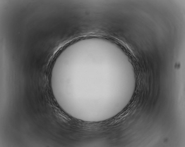 X0000100851160200806200755
