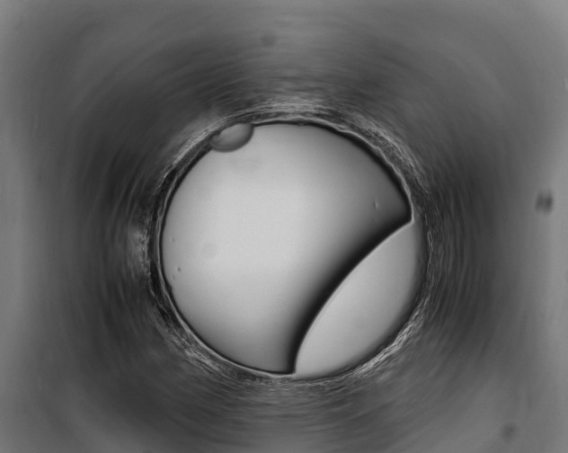 X0000100851162200806200755