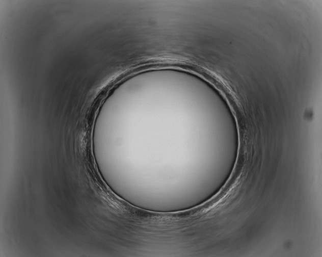 X0000100851163200806200755