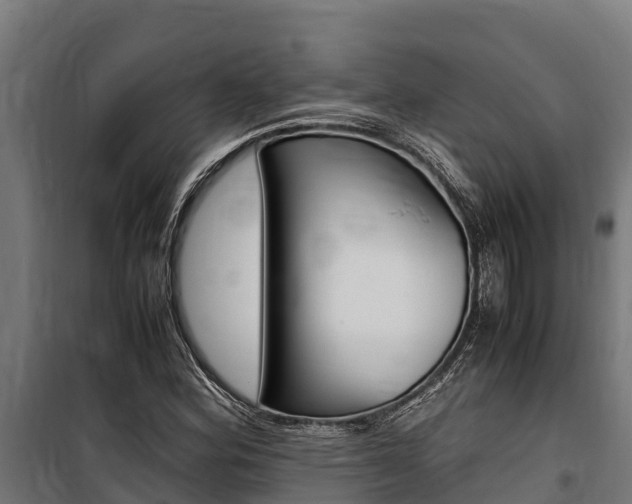 X0000100851164200806200755