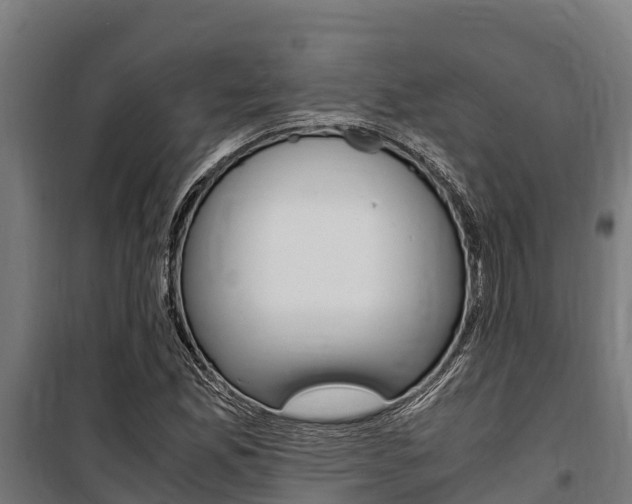 X0000100851165200806200755