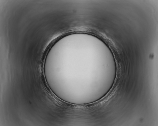 X0000100851166200806200755