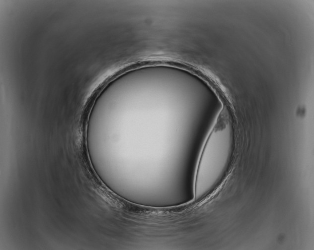 X0000100851167200806200755