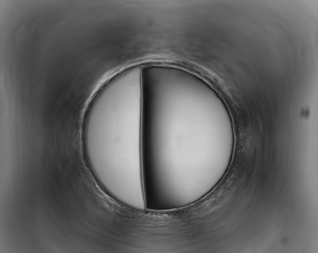 X0000100851168200806200755