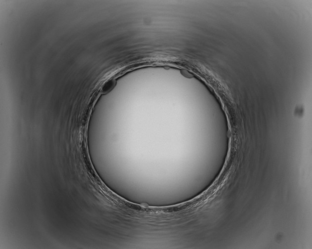 X0000100851169200806200755