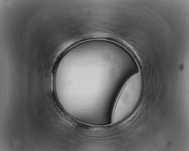 X0000100851171200806200755