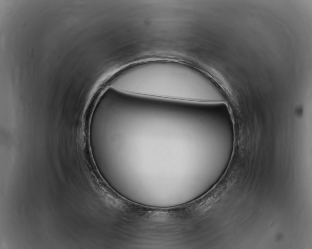 X0000100851172200806200755