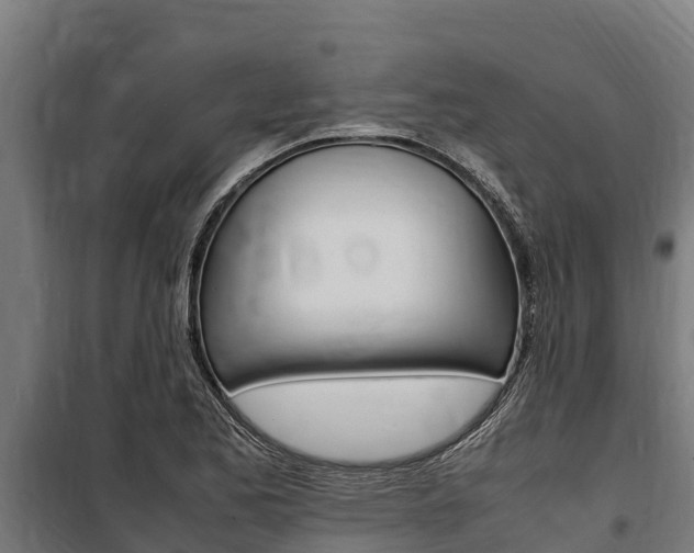 X0000100851173200806200755
