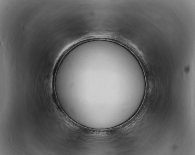X0000100851174200806200755