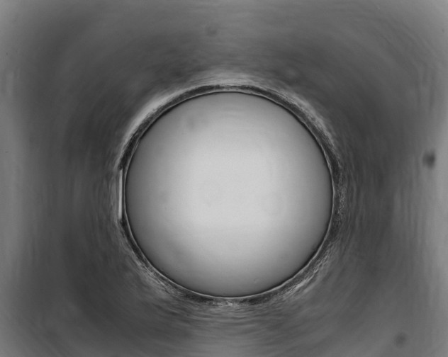 X0000100851175200806200755