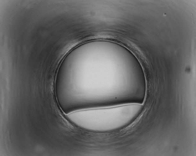 X0000100851177200806200755