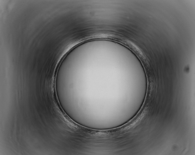 X0000100851178200806200755
