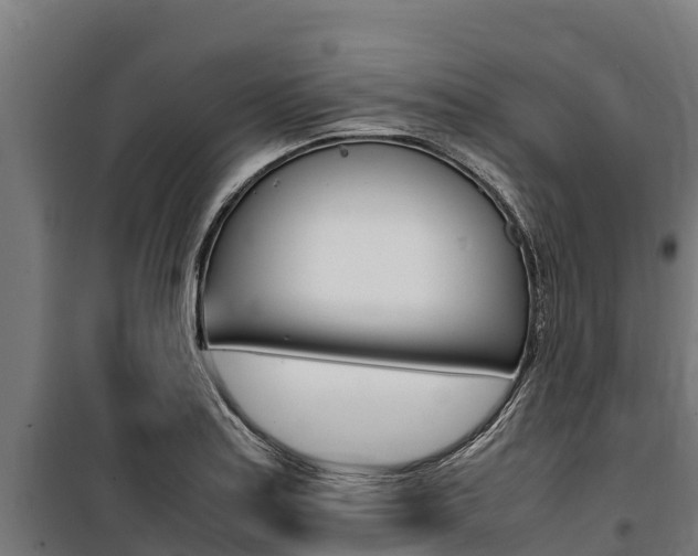 X0000100851179200806200755