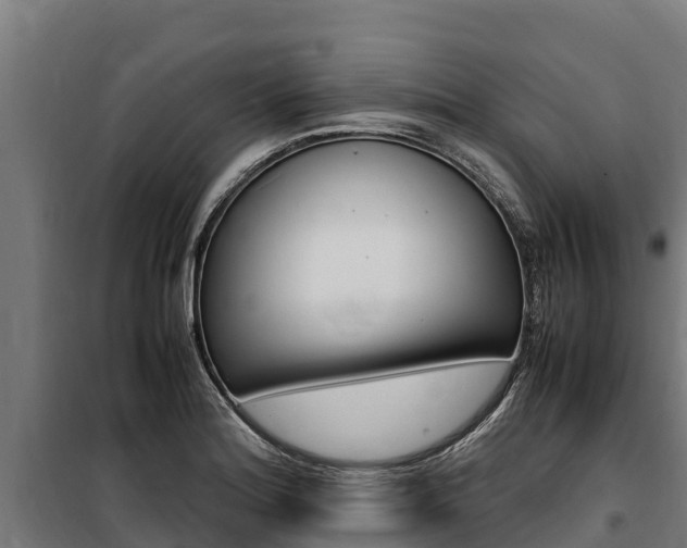 X0000100851180200806200755