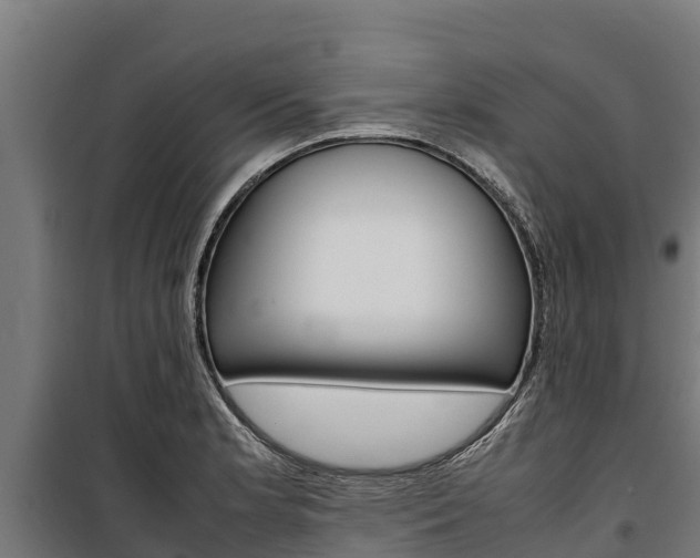 X0000100851181200806200755