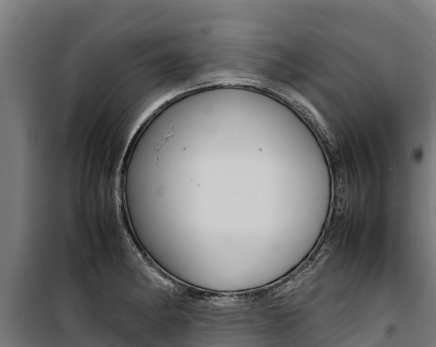 X0000100851182200806200755