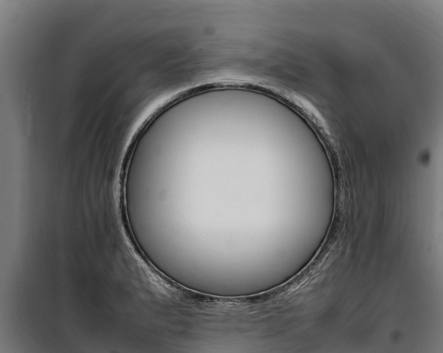 X0000100851183200806200755