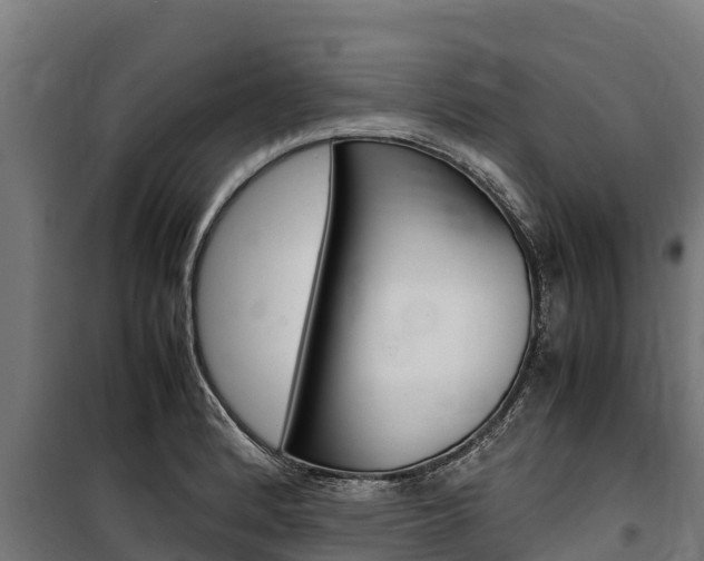 X0000100851184200806200755