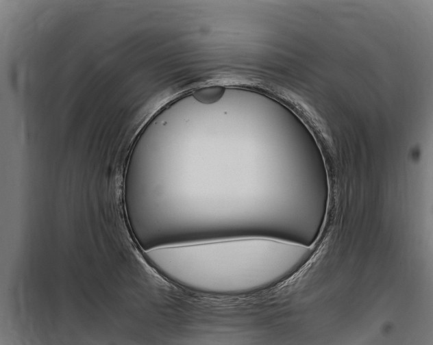 X0000100851185200806200755