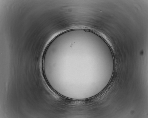 X0000100851187200806200755