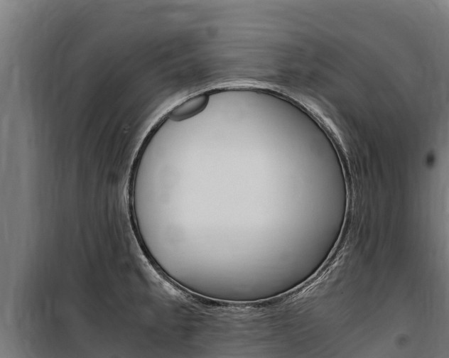 X0000100851189200806200755