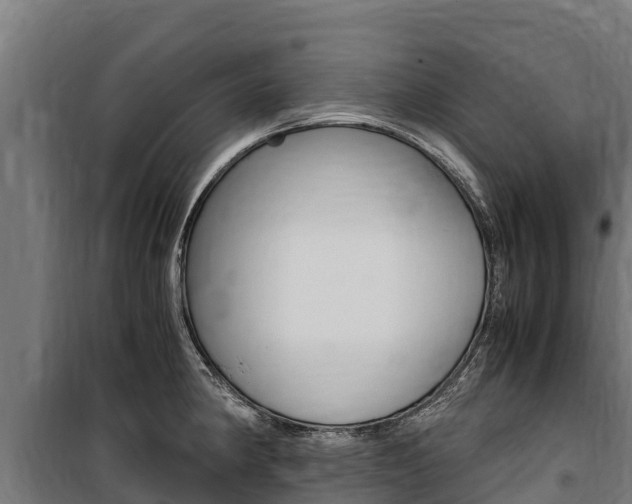 X0000100851190200806200755