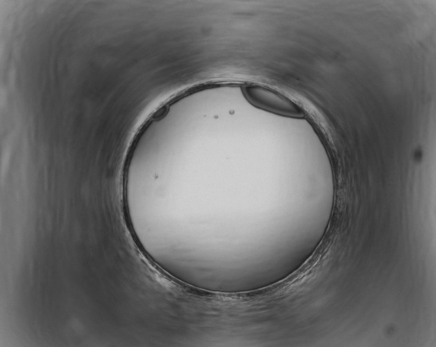 X0000100851191200806200755