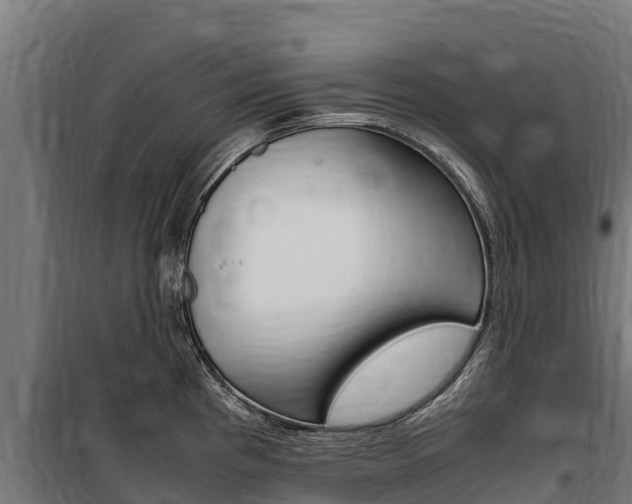X0000100851193200806200754