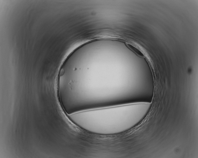 X0000100851195200806200754