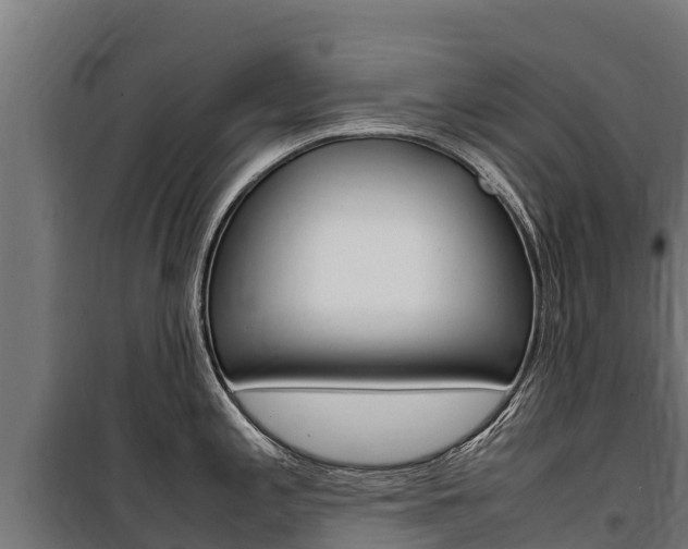 X0000100851197200806200754