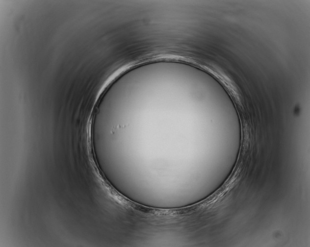 X0000100851198200806200754