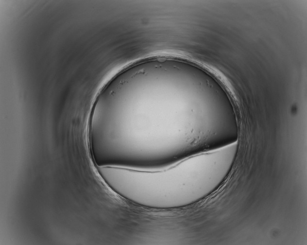 X0000100851199200806200754