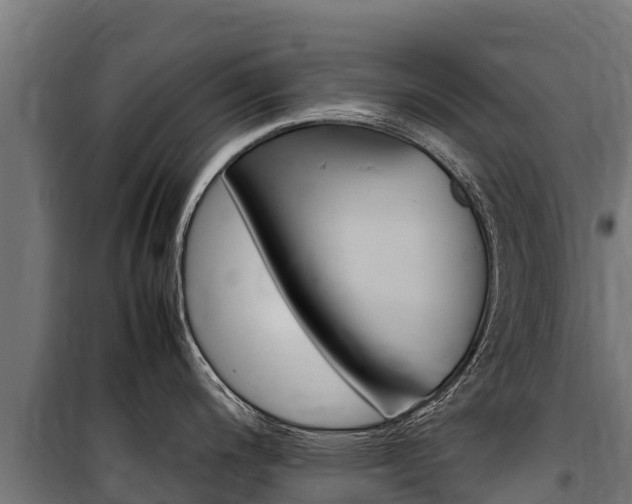 X0000100851200200806200754