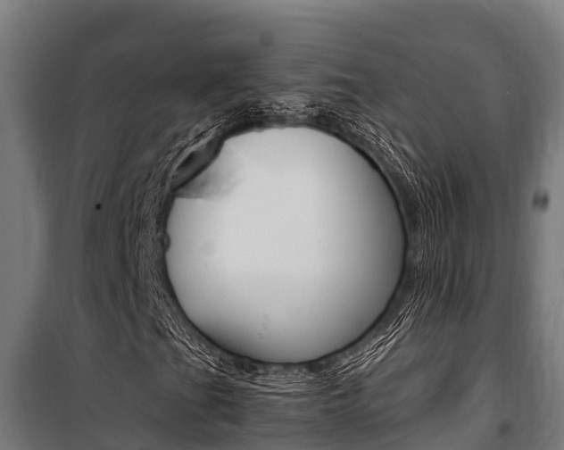 X0000100851201200806200754