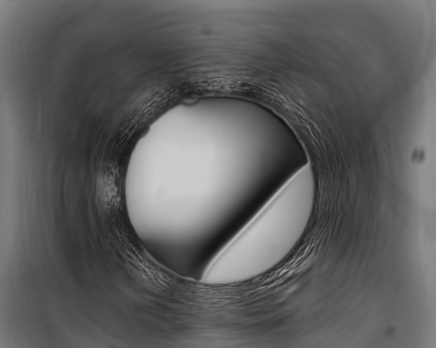X0000100851202200806200754