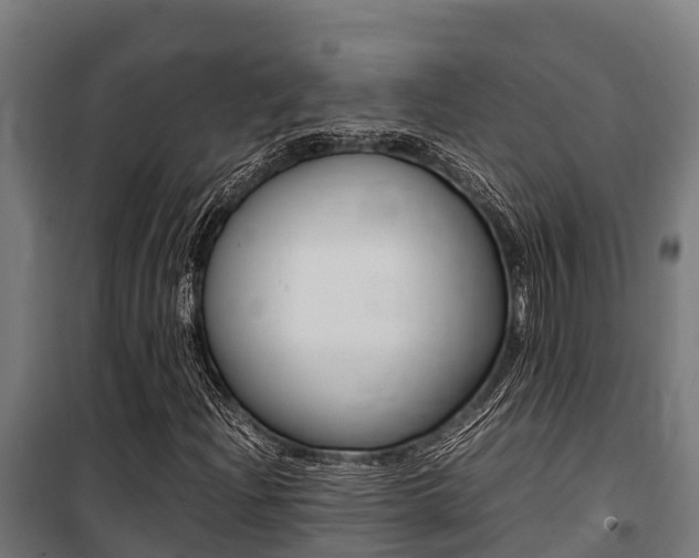 X0000100851204200806200754