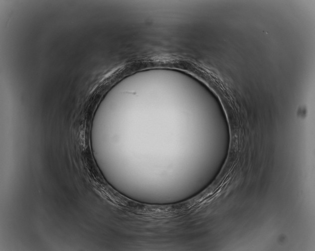 X0000100851205200806200754