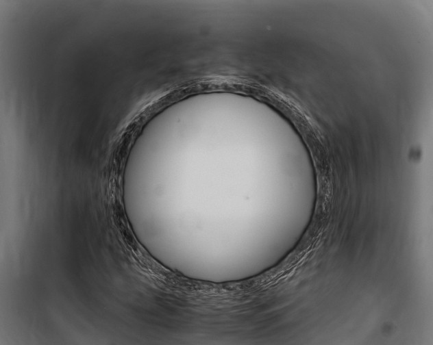 X0000100851207200806200754