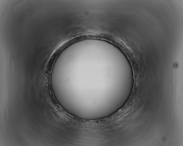 X0000100851208200806200754