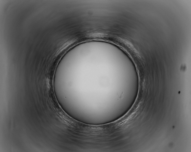 X0000100851209200806200754