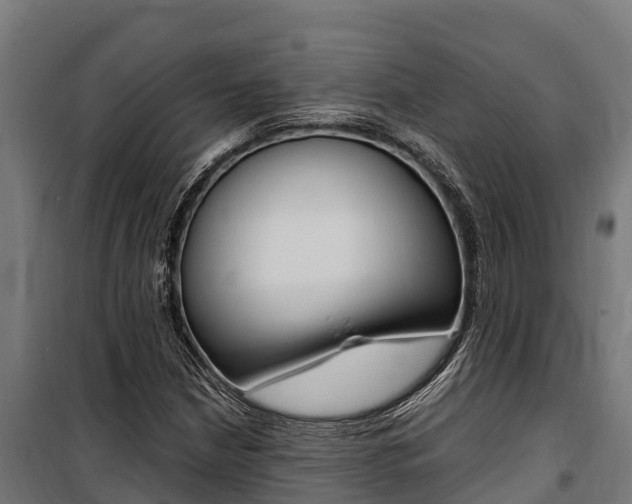 X0000100851210200806200754
