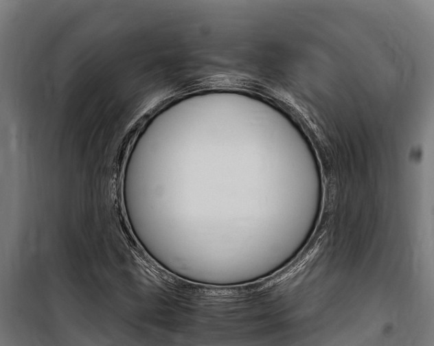 X0000100851211200806200754