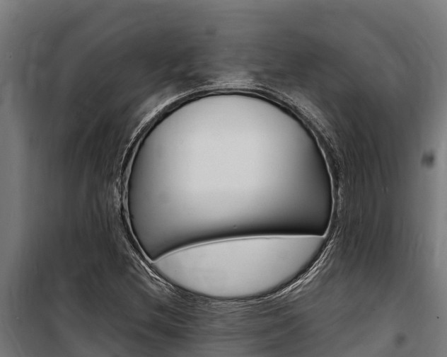 X0000100851212200806200754