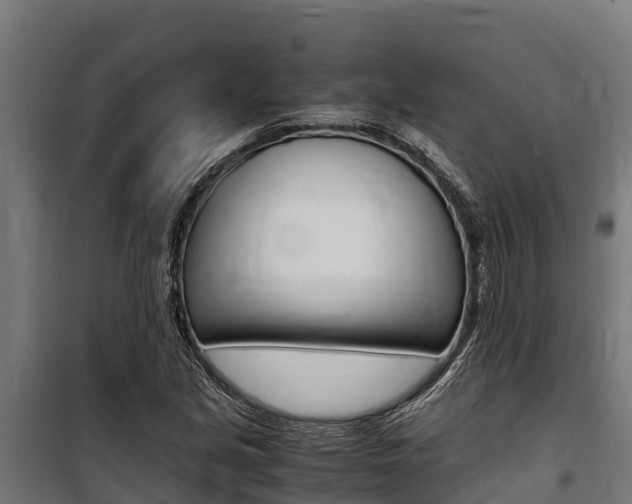 X0000100851213200806200754