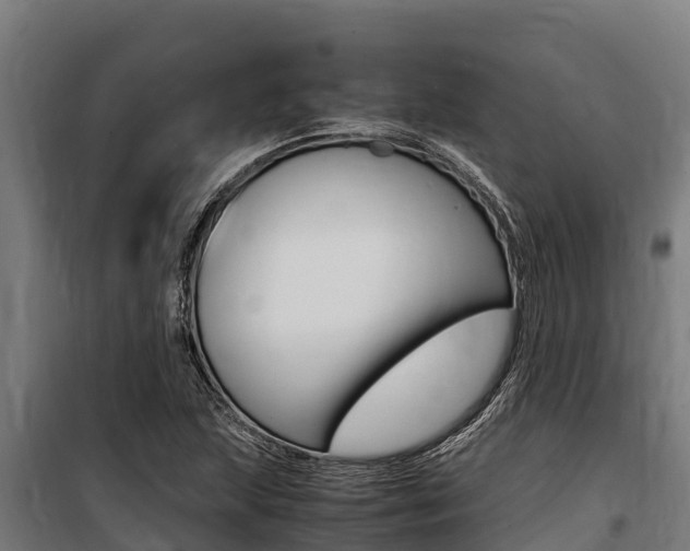 X0000100851215200806200754