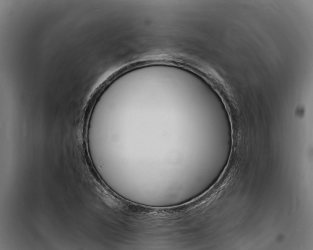 X0000100851216200806200754